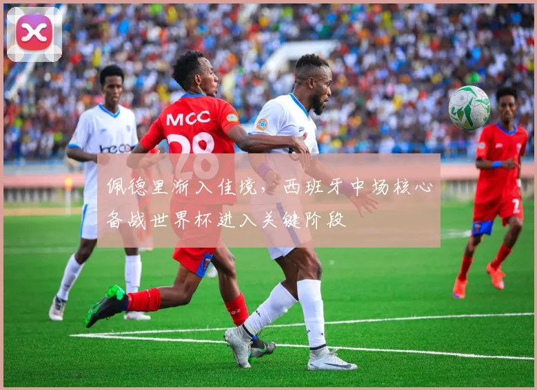 佩德里渐入佳境，西班牙中场核心备战世界杯进入关键阶段