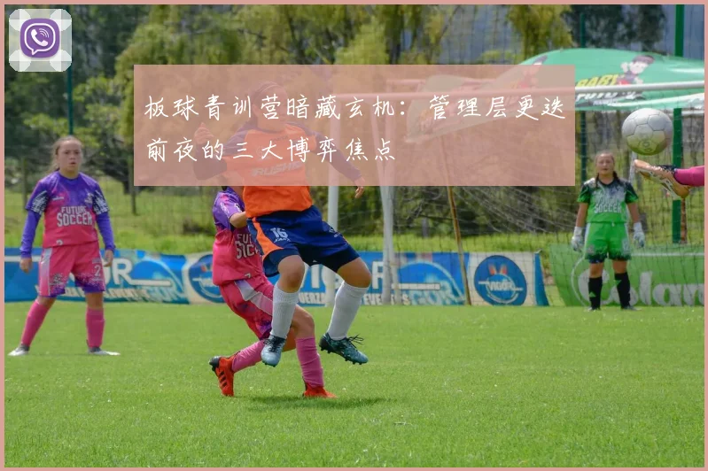 板球青训营暗藏玄机：管理层更迭前夜的三大博弈焦点
