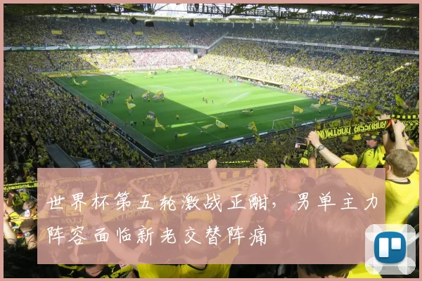 世界杯第五轮激战正酣，男单主力阵容面临新老交替阵痛